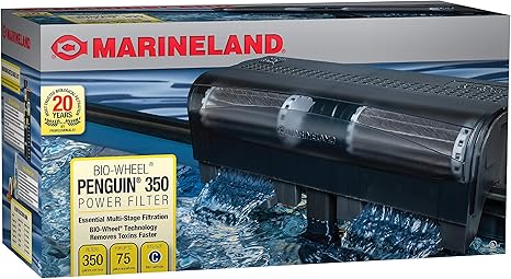 Aquarium Filtration System