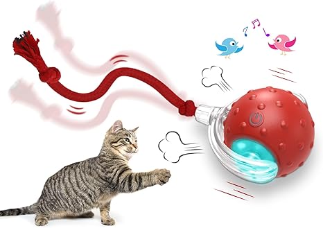 Interactive Cat Toys Ball for Indoor Cats by Giociiv