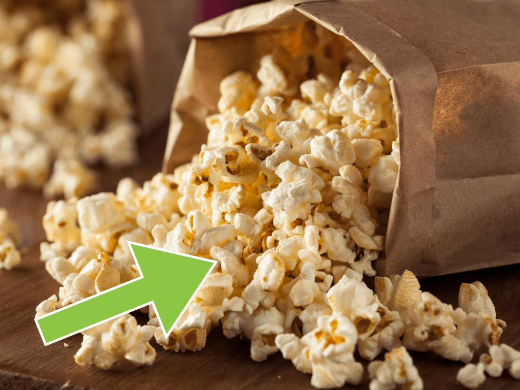 Photo of Plain Popcorn, Can Cats Eat Plain Popcorn