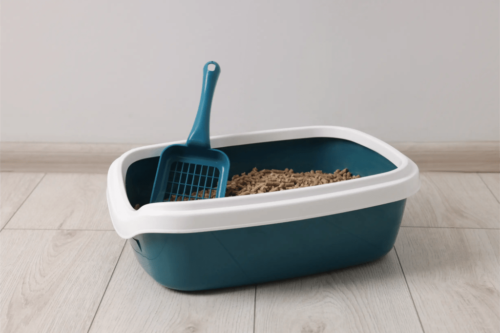 cat litter box image