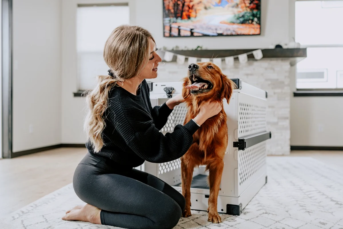 A golden retriever greeting its owner next to an open crate in a bright living room, showing what the best dog crate setup looks like at home