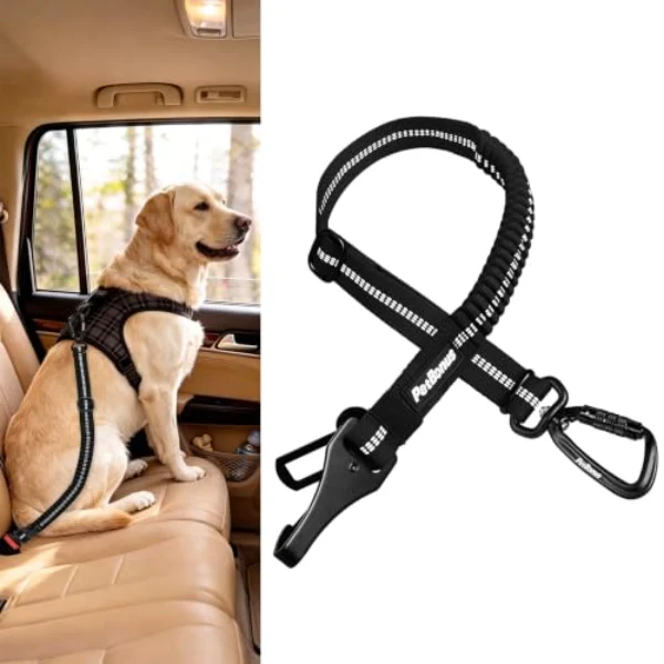 PetBonus dog seat belt for car, a bungee tether that clips a dog harness to a vehicle seat belt