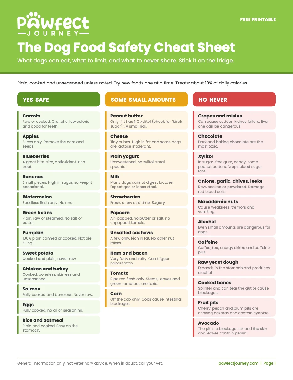 Dog Food Safety Cheat Sheet preview