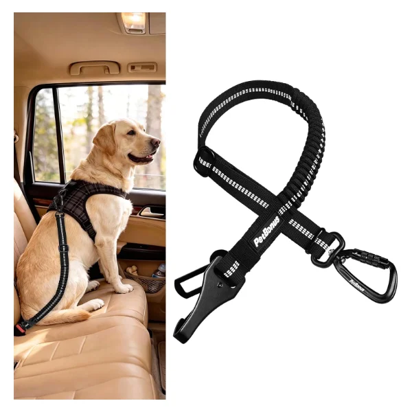 PetBonus dog car seat belt